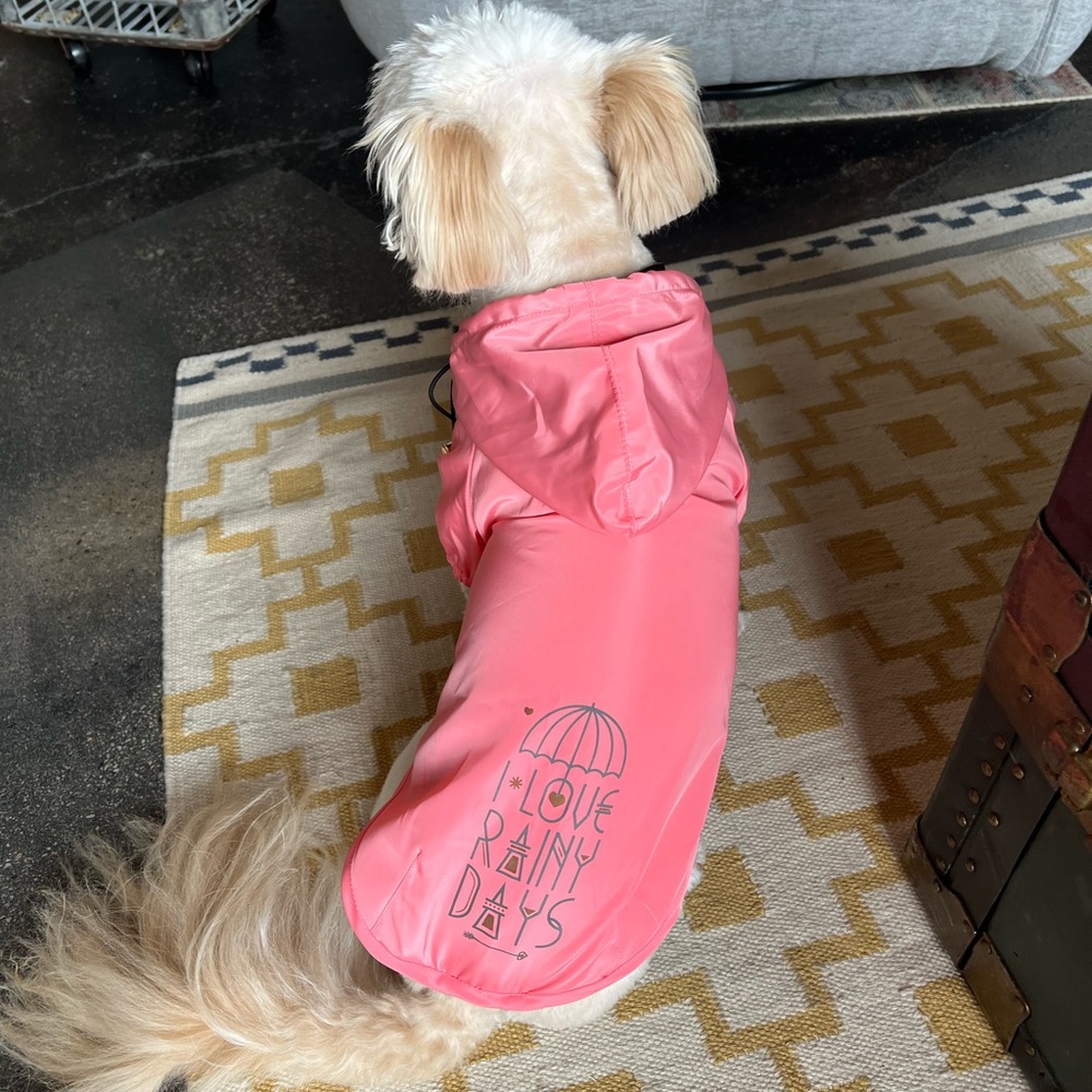Dog raincoat